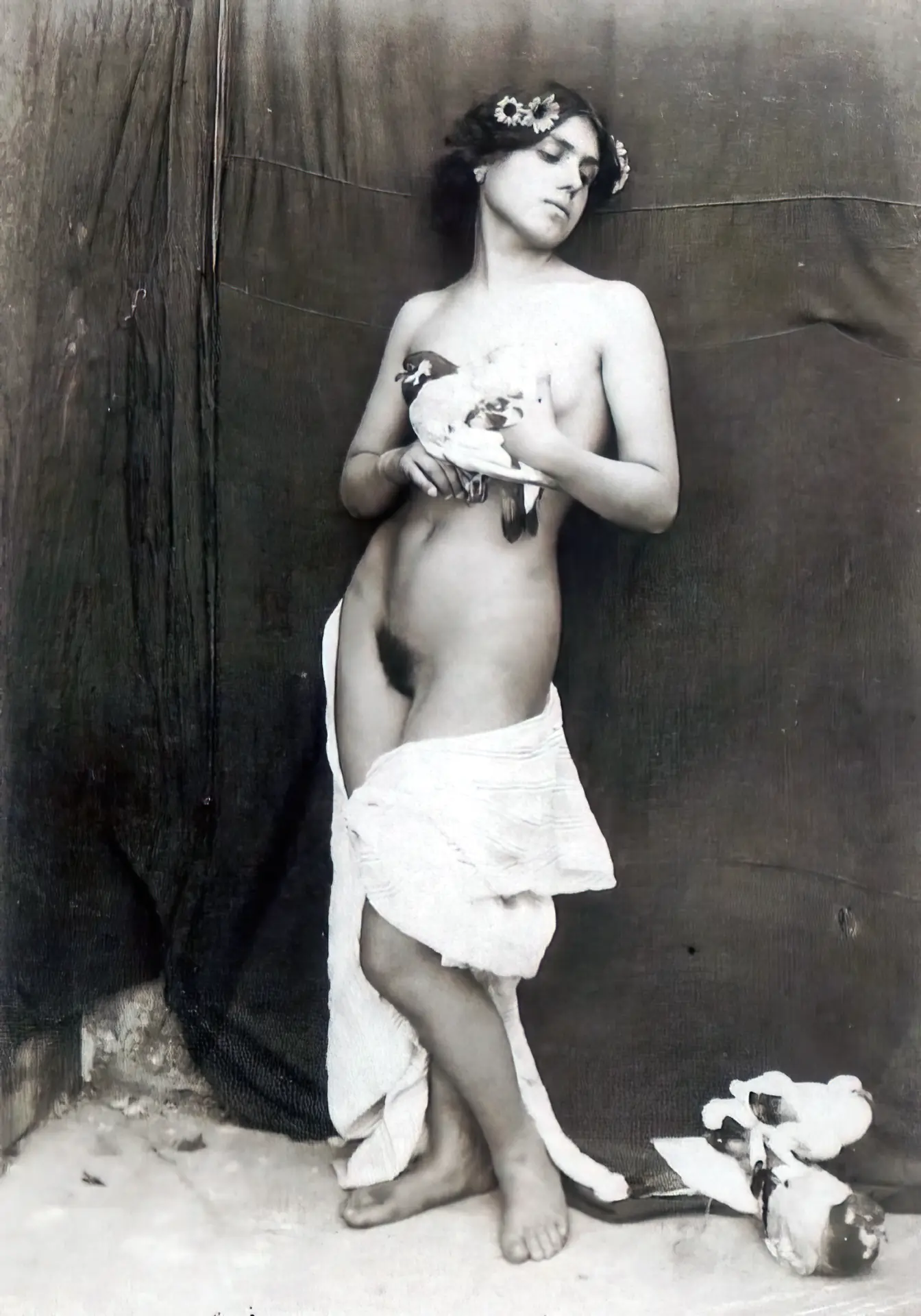 Vintage underwear porn photo Antique girl with a hairy pussy covers her tits with pigeons