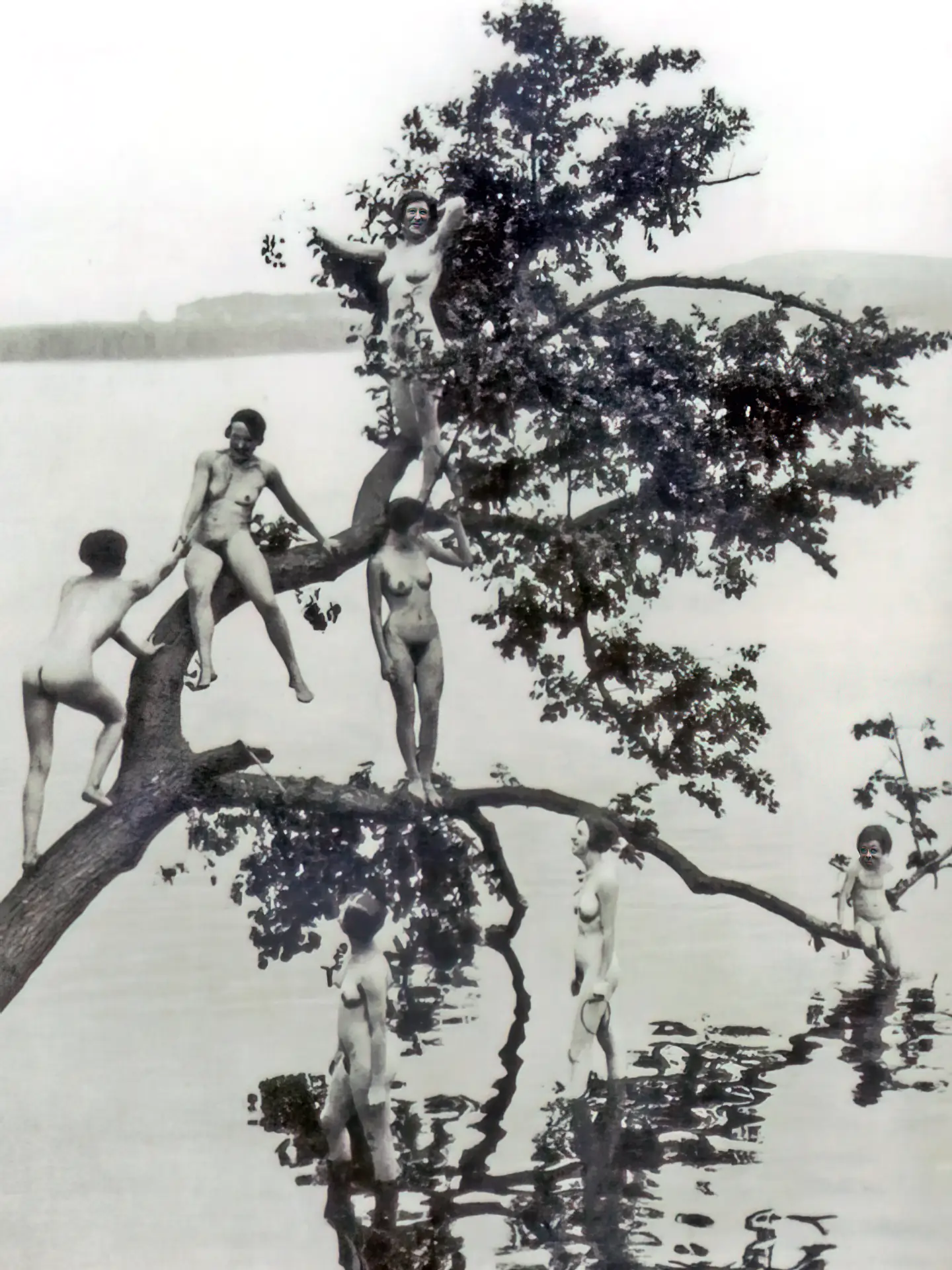 A bunch of nude hairy antique ladies on the tree by the lake
