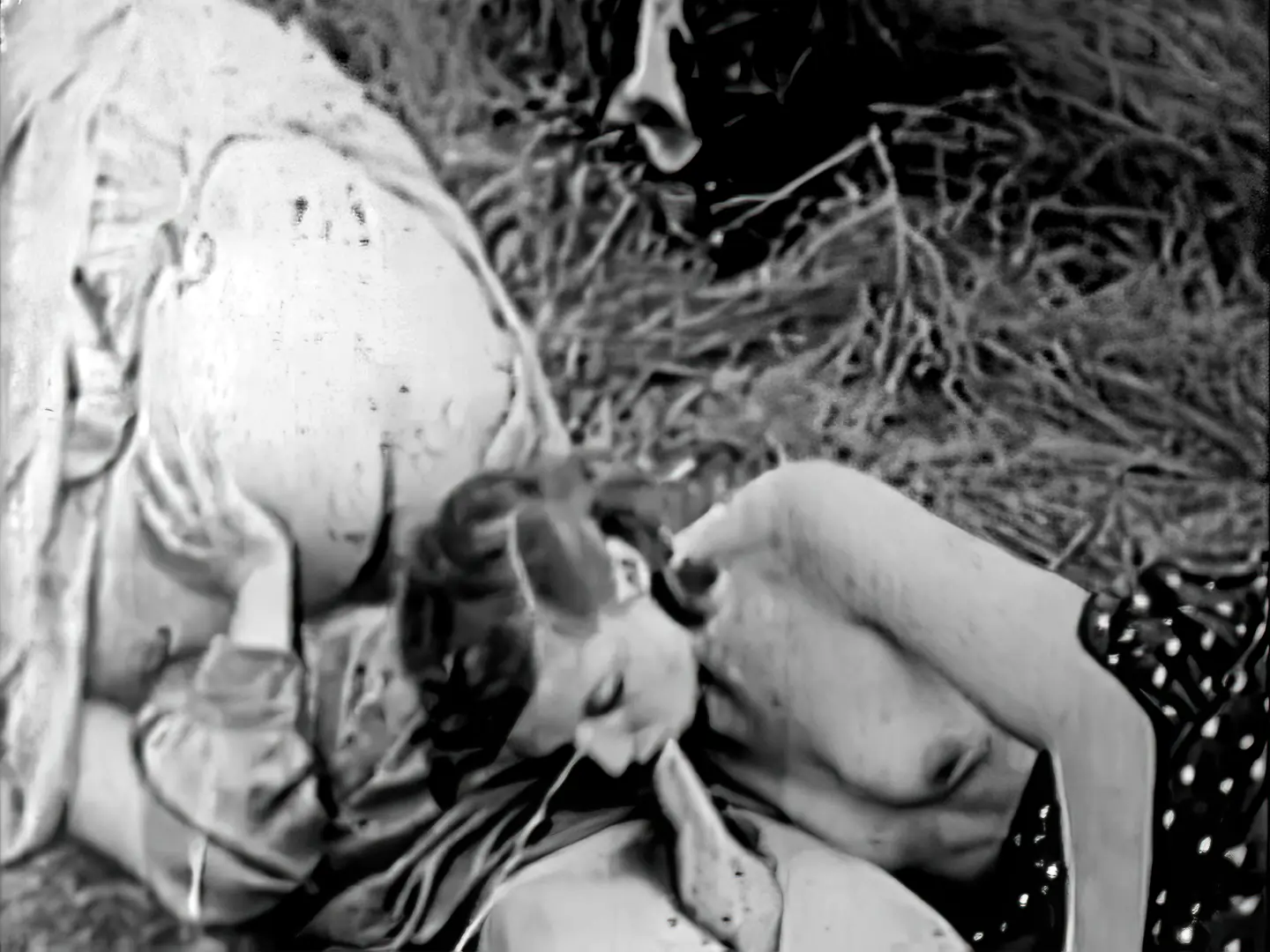Vintage braless porn video Farmer has a rough sex with 2 girls in a meadow
